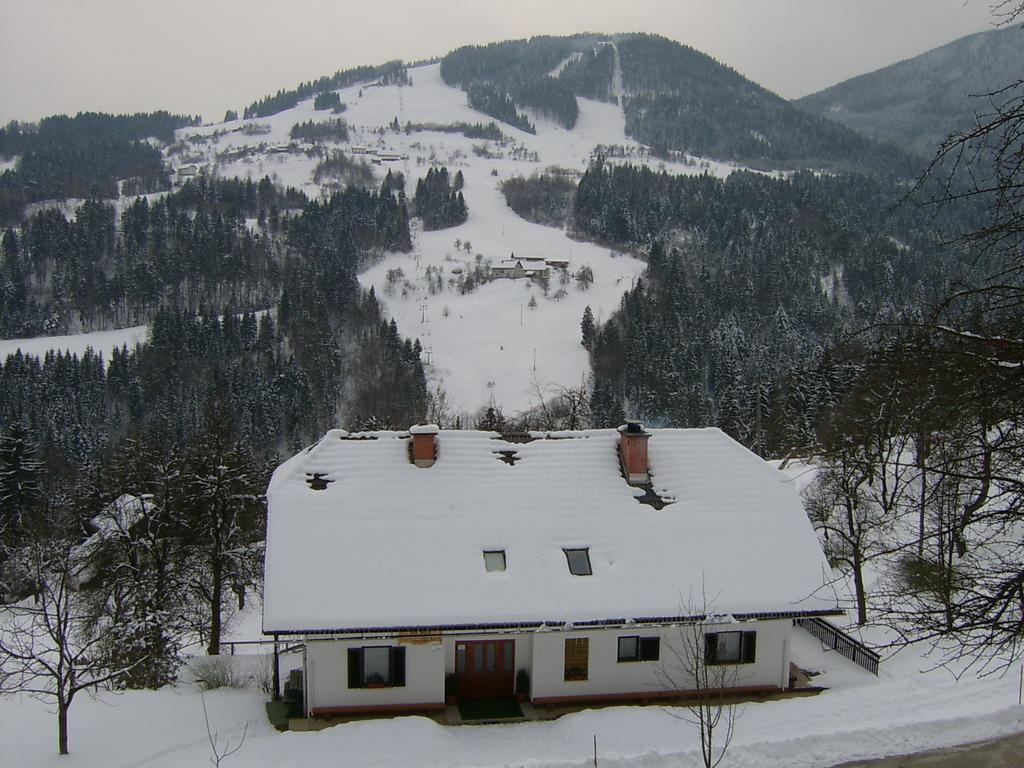 Apartments Zakrasnik Škofja Loka Exterior foto