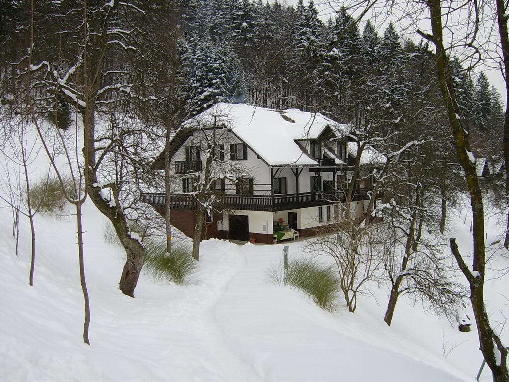Apartments Zakrasnik Škofja Loka Habitación foto